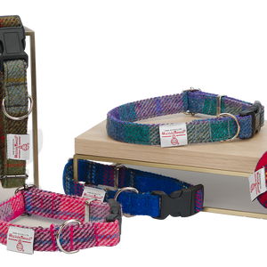Dog Collars