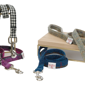 Dog Leads