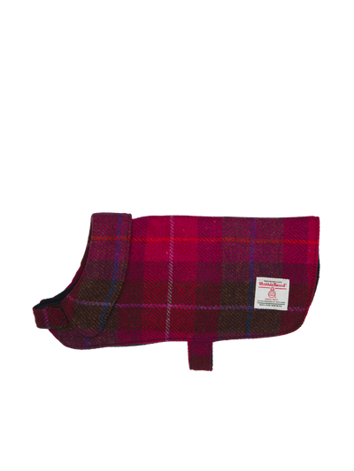 Harris Tweed Cosy Dog Coat - A031
