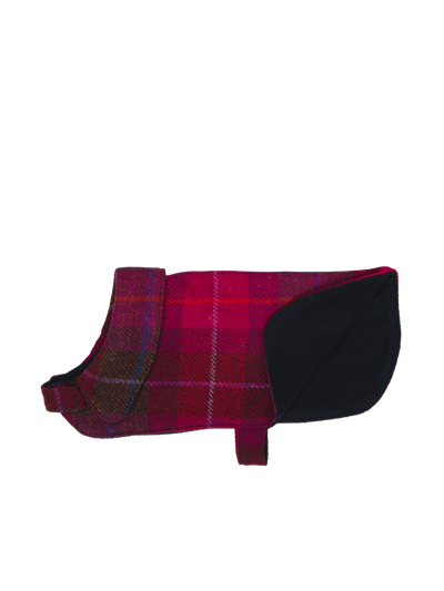 Harris Tweed Cosy Dog Coat - A031